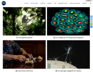 Les 20 images du concours « La preuve par l’image » en science