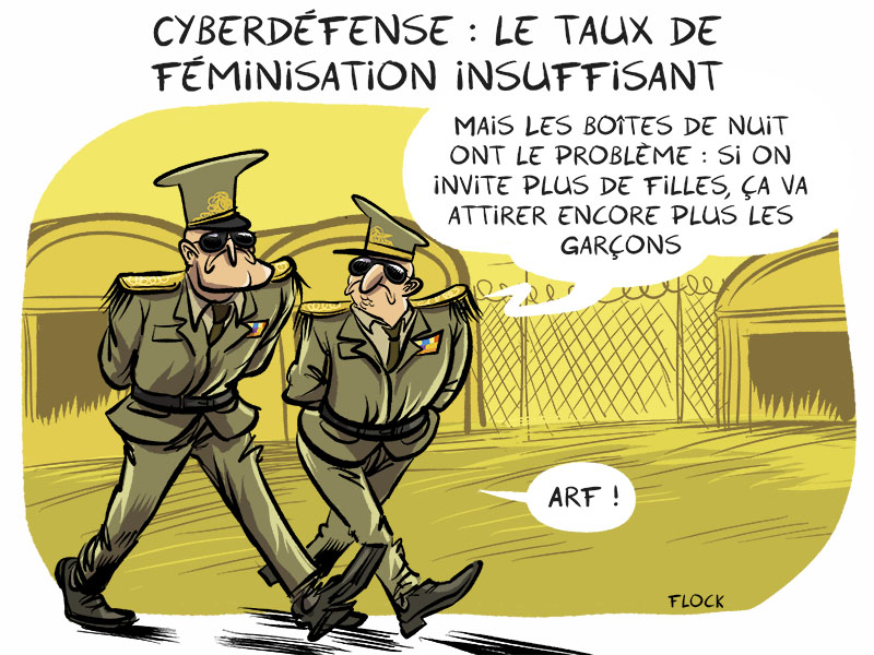 dessin humoristique de flock sur la cyberdéfense