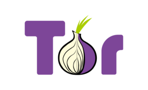 Tor Browser 13.5 améliore son letterboxing et sa gestion des passerelles