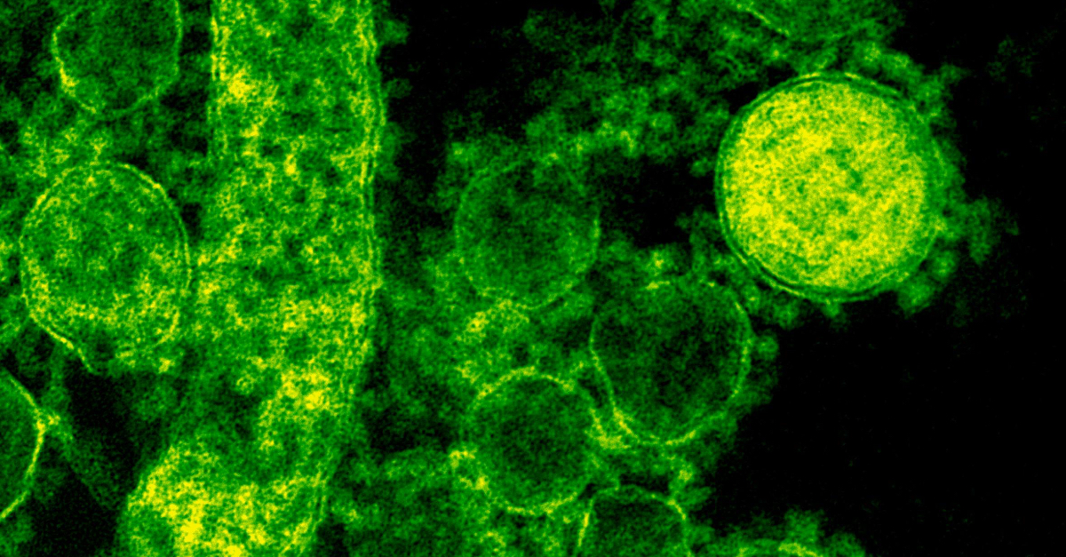 Coronavirus : un antigène développé avec une IA, le vaccin est testé chez l&rsquo;humain